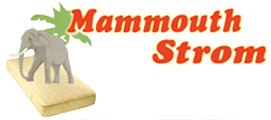 Logo, Στρώματα Αγρίνιο
